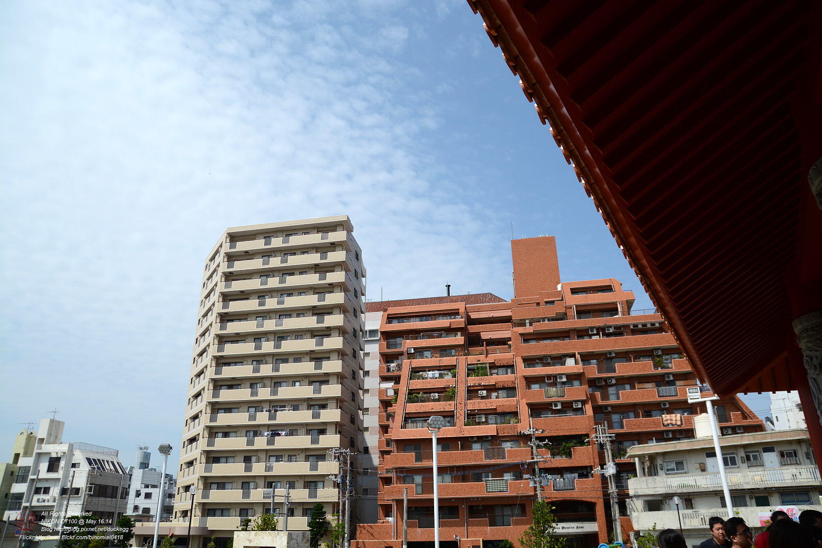 DSC_3391.jpg